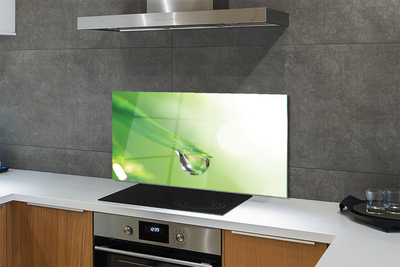 Painel de vidro Sol de folha caída