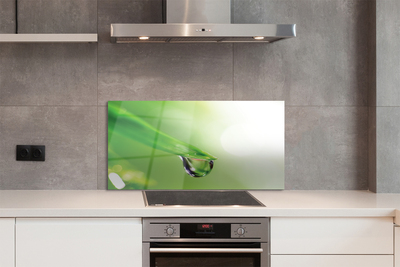 Painel de vidro Sol de folha caída