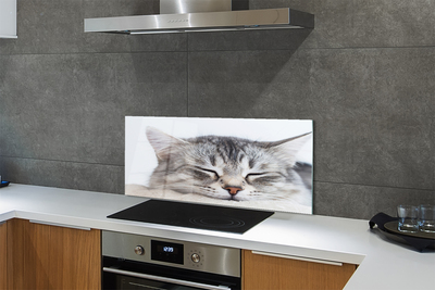 Painel de vidro Gato dormindo