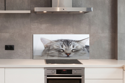 Painel de vidro Gato dormindo