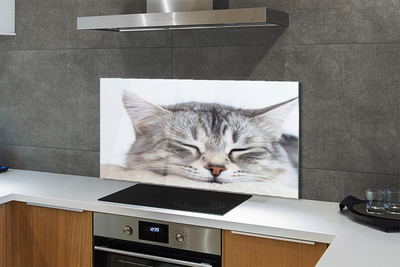 Painel de vidro Gato dormindo