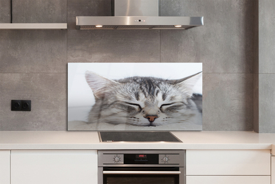 Painel de vidro Gato dormindo
