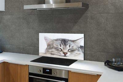 Painel de vidro Gato dormindo