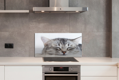 Painel de vidro Gato dormindo