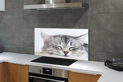 Painel de vidro Gato dormindo