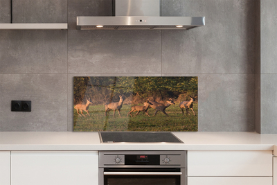 Painel de vidro Nascer do sol no campo de veados