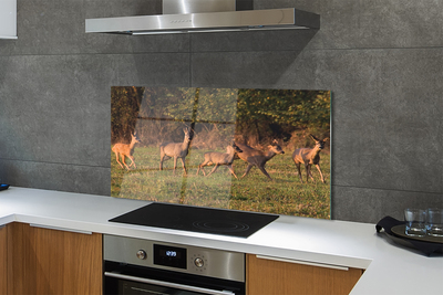 Painel de vidro Nascer do sol no campo de veados