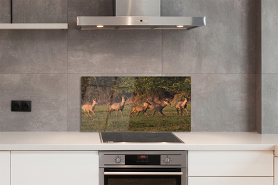 Painel de vidro Nascer do sol no campo de veados