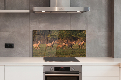 Painel de vidro Nascer do sol no campo de veados