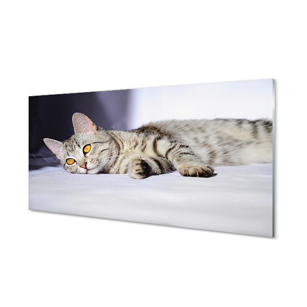 Painel de vidro Gato deitado