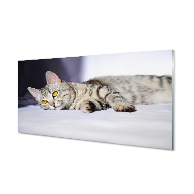 Painel de vidro Gato deitado