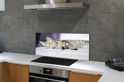 Painel de vidro Gato deitado