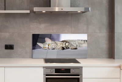 Painel de vidro Gato deitado