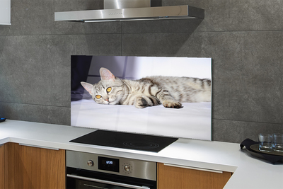 Painel de vidro Gato deitado