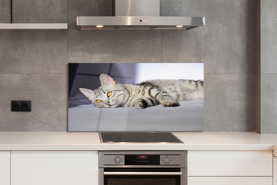 Painel de vidro Gato deitado