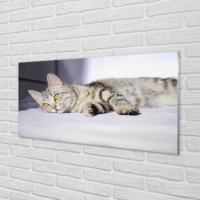 Painel de vidro Gato deitado