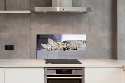 Painel de vidro Gato deitado