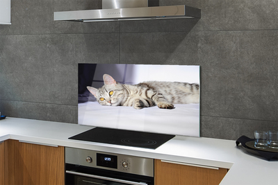 Painel de vidro Gato deitado