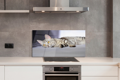 Painel de vidro Gato deitado