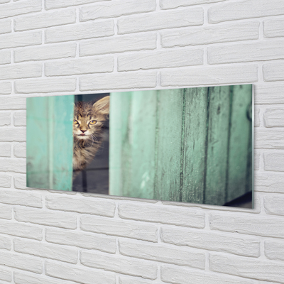 Painel de vidro Gato espiando
