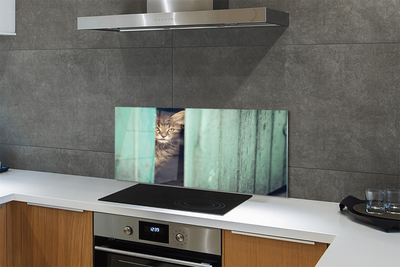 Painel de vidro Gato espiando