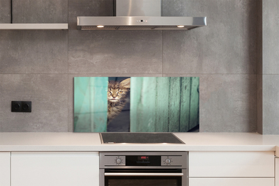 Painel de vidro Gato espiando