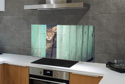 Painel de vidro Gato espiando