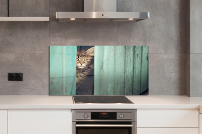 Painel de vidro Gato espiando