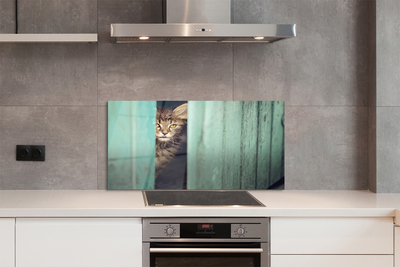 Painel de vidro Gato espiando