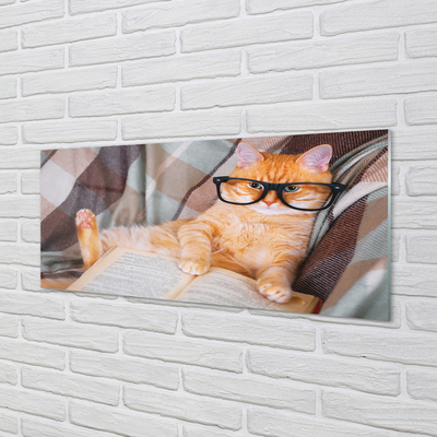 Painel de vidro Gato lendo