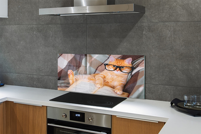 Painel de vidro Gato lendo