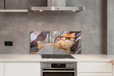 Painel de vidro Gato lendo