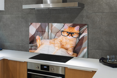 Painel de vidro Gato lendo