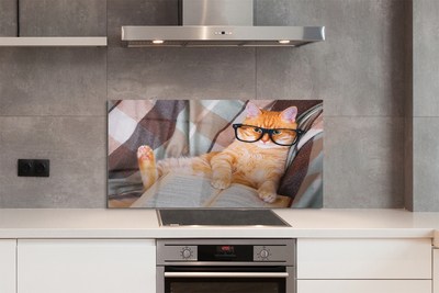 Painel de vidro Gato lendo