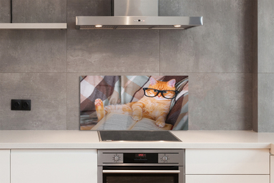 Painel de vidro Gato lendo