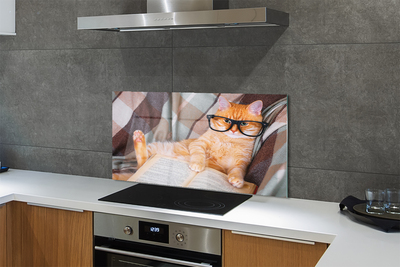 Painel de vidro Gato lendo