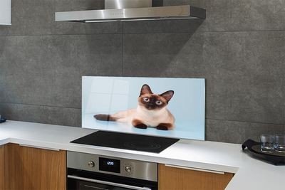 Painel de vidro Gato deitado