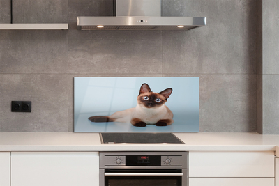 Painel de vidro Gato deitado