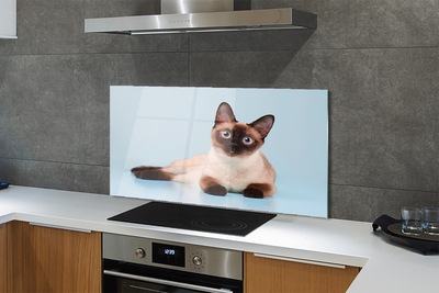 Painel de vidro Gato deitado