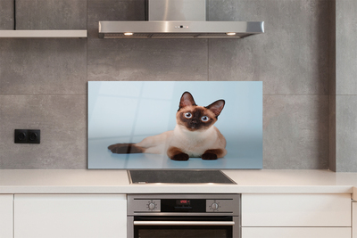 Painel de vidro Gato deitado