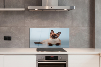 Painel de vidro Gato deitado