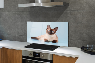 Painel de vidro Gato deitado