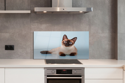 Painel de vidro Gato deitado