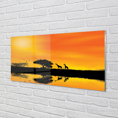 Painel de vidro Girafas pôr do sol árvore lago
