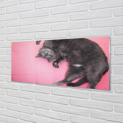 Painel de vidro Gato deitado