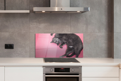 Painel de vidro Gato deitado