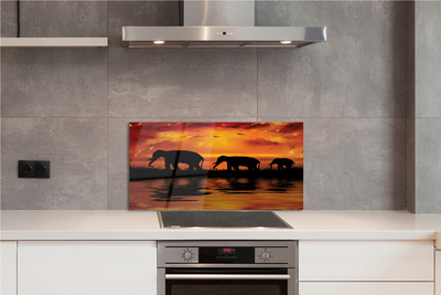 Painel de vidro Pôr do sol no Lago dos Elefantes