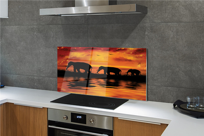 Painel de vidro Pôr do sol no Lago dos Elefantes