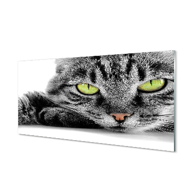 Painel de vidro Gato cinza e preto