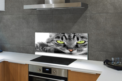 Painel de vidro Gato cinza e preto